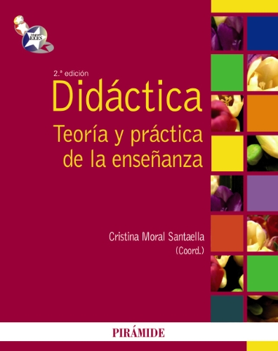 Didactica / Didactics: Teoria y practica de la ensenanza / Theory and Practice of Teaching  2010 9788436824131 Front Cover