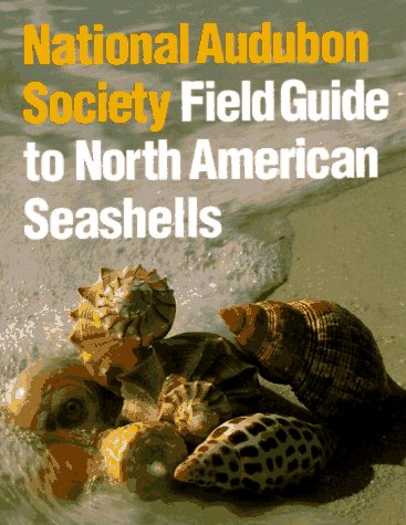 National Audubon Society Field Guide to Shells North America  1981 9780394519135 Front Cover