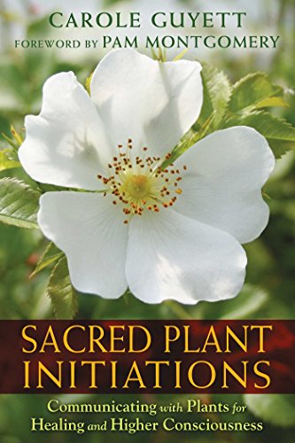 Sacred Plant Initiations Communicating with Plants for Healing and Higher Consciousness  2015 9781591432135 Front Cover