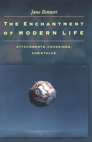 Enchantment of Modern Life Attachments, Crossings, and Ethics  2001 9780691088136 Front Cover