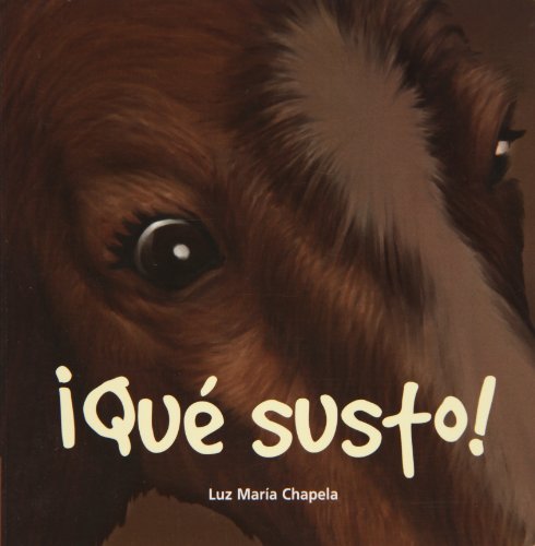 Que Susto!/ What a shock!:  2008 9786079501136 Front Cover