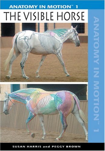 Anatomy In Motion: The Visible Horse  2005 9781570763137 Front Cover