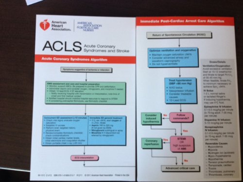ADVANCED CARDIOVASC.LIFE SUPP.(ACLS)    N/A 9781616690137 Front Cover