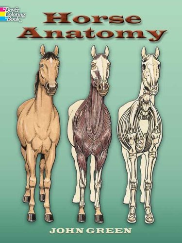 Horse Anatomy   2006 9780486448138 Front Cover