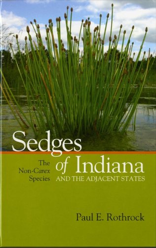 Sedges of Indiana and the Adjacent States The Non-Carex Species  2012 9781883362140 Front Cover