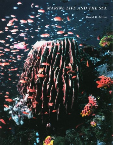 Marine Life and the Sea  1st 1995 9780534163143 Front Cover