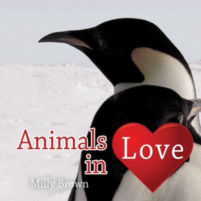 Animals in Love   2009 9781840247145 Front Cover