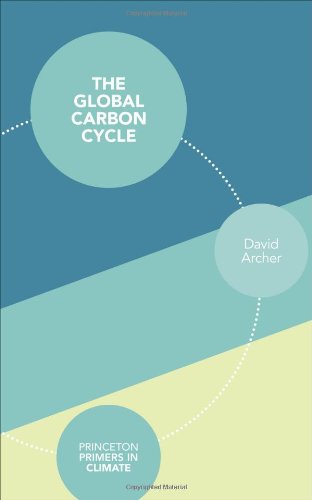 Global Carbon Cycle   2011 9780691144146 Front Cover