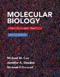 Molecular Biology: Principles and Practice  2015 9781464126147 Front Cover