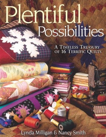 Plentiful Possibilities A Timeless Treasury of 16 Terrific Quilts  2003 9781571202147 Front Cover