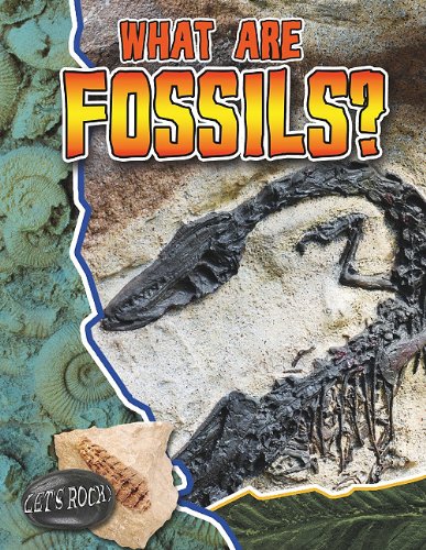 What Are Fossils?   2012 9780778772149 Front Cover
