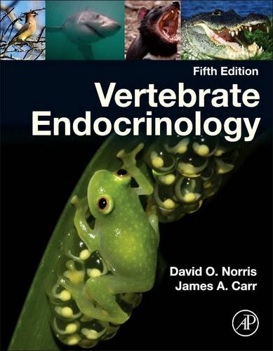Vertebrate Endocrinology:   2013 9780123948151 Front Cover