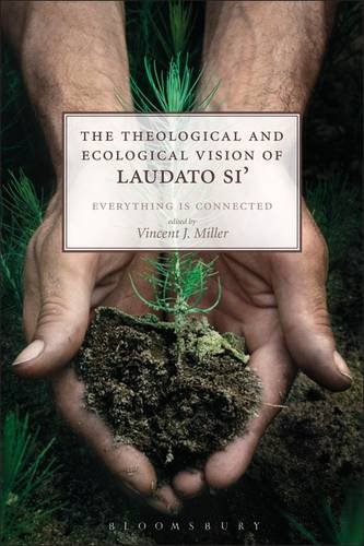 Theological and Ecological Vision of Laudato Si' Everything Is Connected  2017 9780567673152 Front Cover
