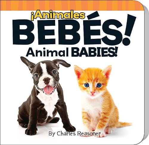 ï¿½Animales Bebï¿½s! (Animal Babies!)   2011 9781612361154 Front Cover