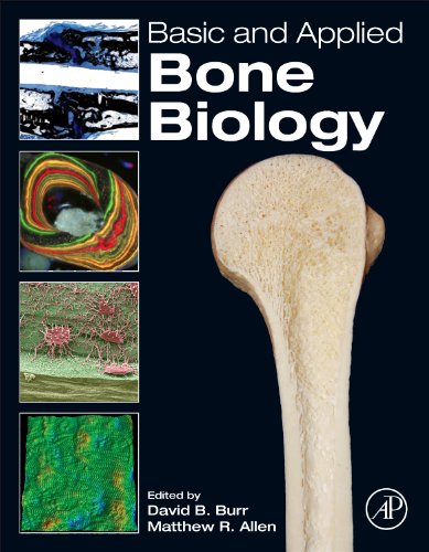 Basic and Applied Bone Biology   2014 9780124160156 Front Cover