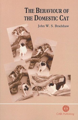 Behaviour of the Domestic Cat   1991 9780851987156 Front Cover