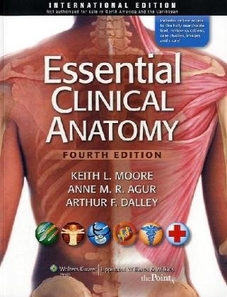 Essential Clinical Anatomy  4th 2011 (Revised) 9780781799157 Front Cover