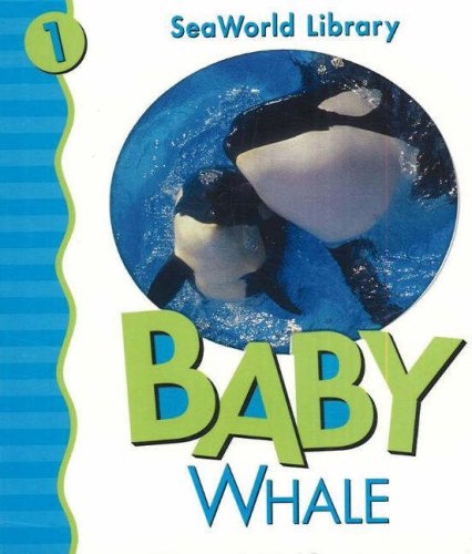 Baby Killer Whale San Diego Zoo   2005 9780824966157 Front Cover