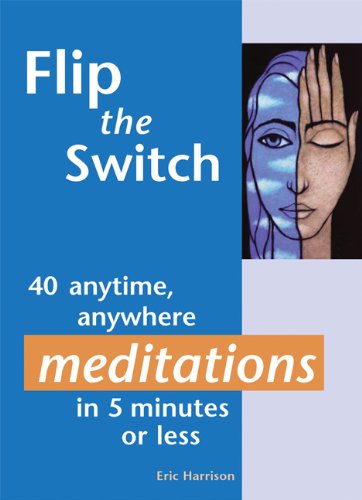 Flip the Switch 40 Anytime, Anywhere Meditations in 5 Minutes or Less  2004 9781569754160 Front Cover