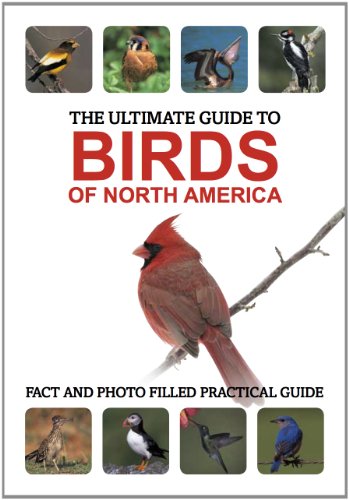 Birds of North America:  2011 9781445434162 Front Cover