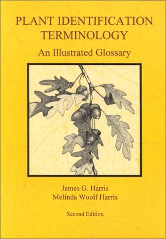 Plant Identification Terminology An Illustrated Glossary 2nd 2001 (Revised) 9780964022164 Front Cover