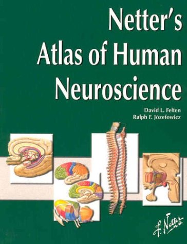 Netter's Atlas of Human Neuroscience   2003 9781929007165 Front Cover