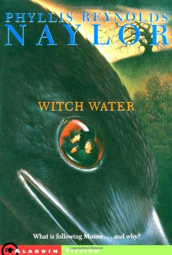 Witch Water   2002 9780689853166 Front Cover