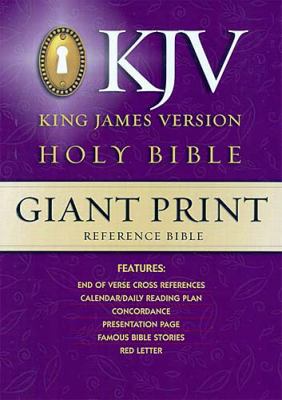 Holy Bible   1996 (Large Type) 9780529063168 Front Cover