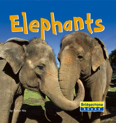 Elephants   2005 9780736837170 Front Cover