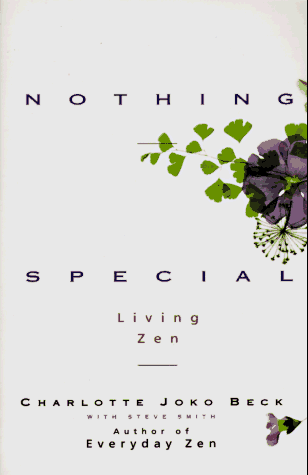 Nothing Special   1993 (Reprint) 9780062511171 Front Cover