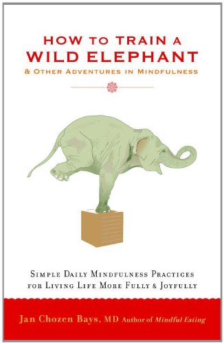 How to Train a Wild Elephant And Other Adventures in Mindfulness  2011 9781590308172 Front Cover