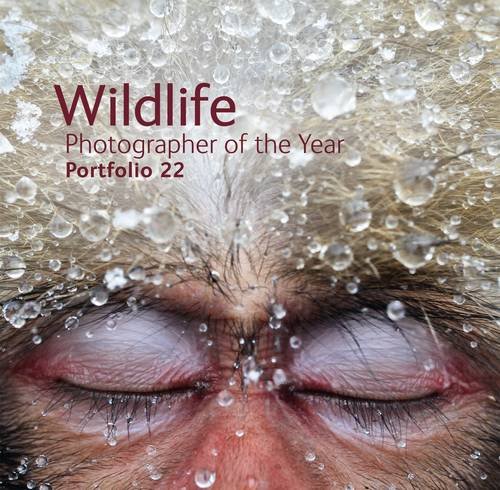 Wildlife Photographer of the Year Portfolio 22   2012 9780565093174 Front Cover