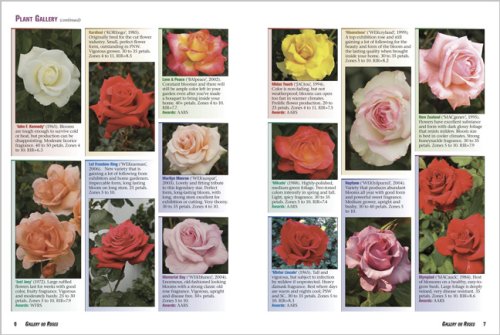All about Roses  2nd 2007 (Revised) 9780696232176 Front Cover