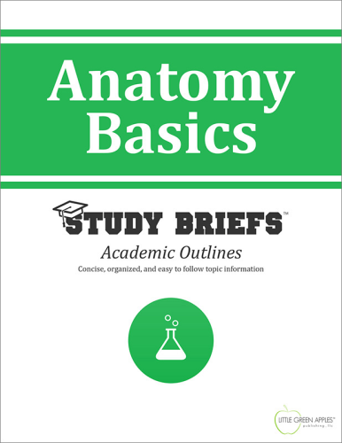 Anatomy Basics   2015 9781634260176 Front Cover