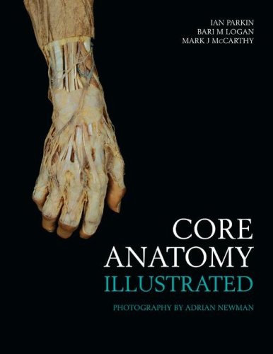 Core Anatomy - Illustrated   2007 9780340809181 Front Cover