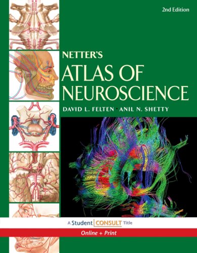 Netter's Atlas of Neuroscience With STUDENT CONSULT Online Access 2nd 2010 9781416054184 Front Cover