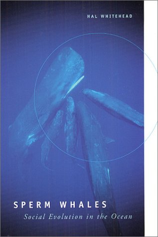 Sperm Whales Social Evolution in the Ocean  2003 9780226895185 Front Cover