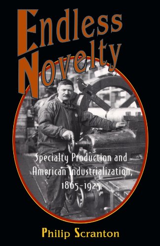 Endless Novelty Specialty Production and American Industrialization, 1865-1925  1997 9780691070186 Front Cover