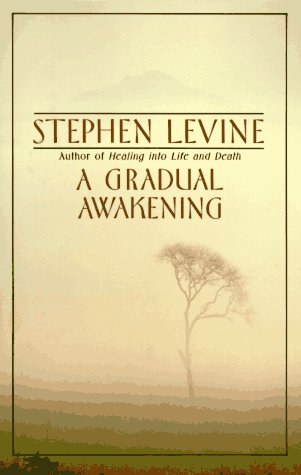 Gradual Awakening  2nd 1989 9780385262187 Front Cover