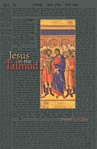 Jesus in the Talmud   2007 9780691143187 Front Cover