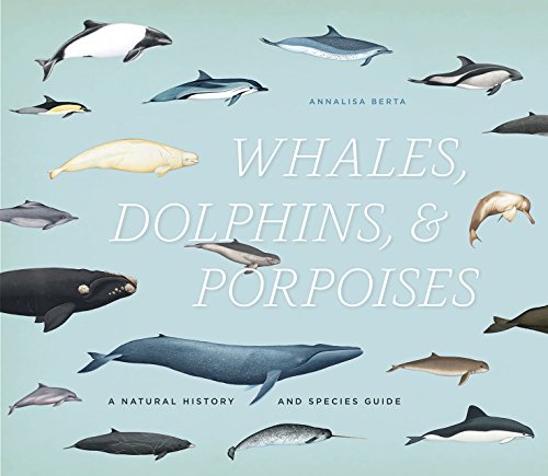 Whales, Dolphins, and Porpoises A Natural History and Species Guide  2015 9780226183190 Front Cover