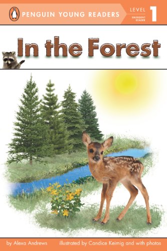 In the Forest  N/A 9780448467191 Front Cover