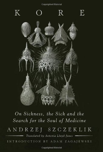 Kore On Sickness, the Sick, and the Search for the Soul of Medicine  2012 9781619020191 Front Cover