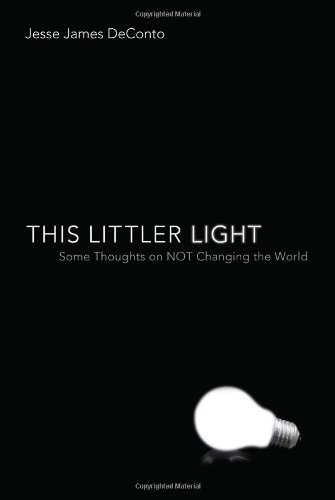 This Littler Light Some Thoughts on NOT Changing the World N/A 9781620328194 Front Cover