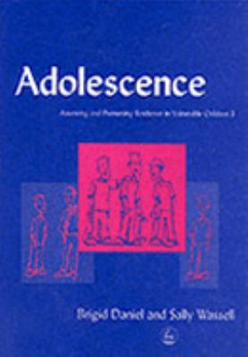 Adolescence Assessing and Promoting Resilience in Vulnerable Children  2002 9781843100195 Front Cover