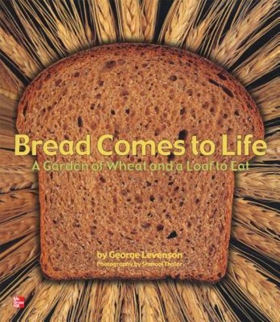 Reading Wonders Literature Big Book: Bread Comes to Life Grade K   2014 9780021193196 Front Cover
