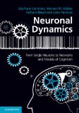Neuronal Dynamics From Single Neurons to Networks and Models of Cognition  2014 9781107635197 Front Cover