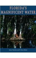Florida's Magnificent Water:   2014 9781561647200 Front Cover