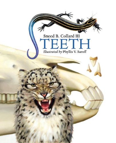 Teeth   2008 9781580891202 Front Cover