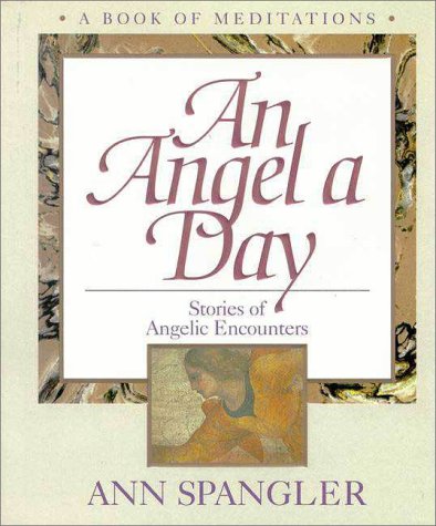 Angel a Day Stories of Angelic Encounters N/A 9780310487203 Front Cover